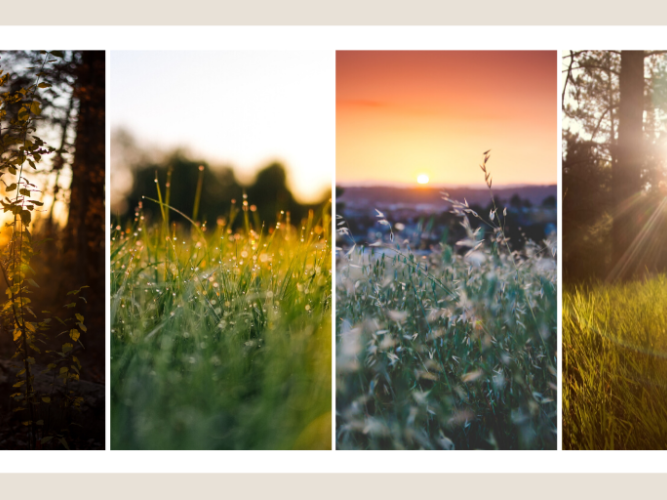 Morning images