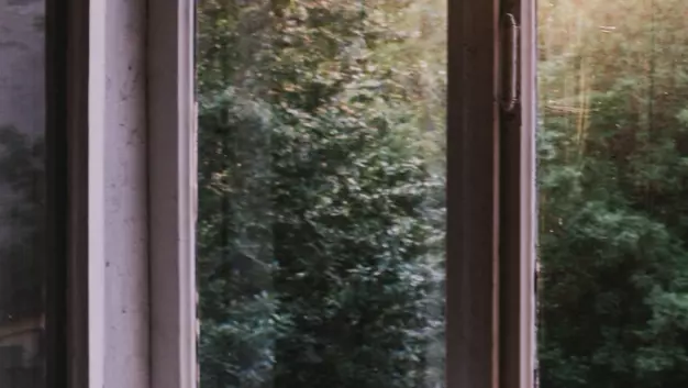 Books by a window