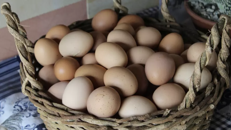 Eggs in brown wicker basket