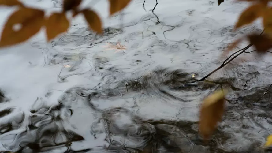 Swirling water