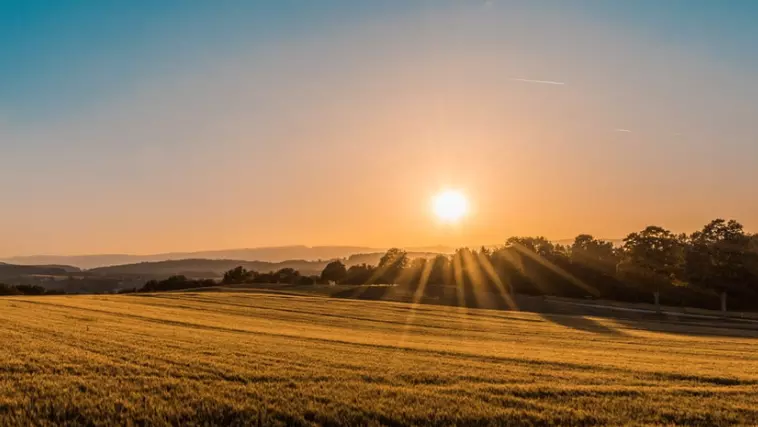 Sun over fields