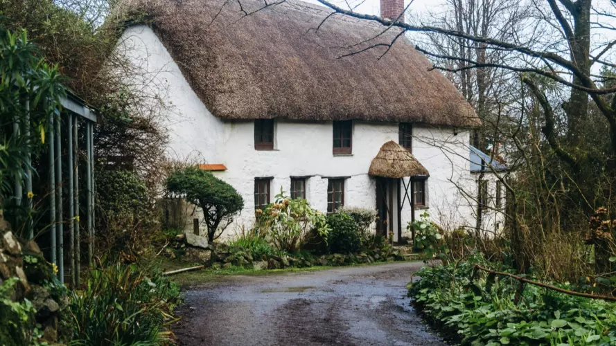 Thatched cottage