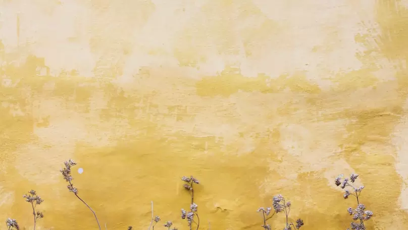 Flowers against yellow wall