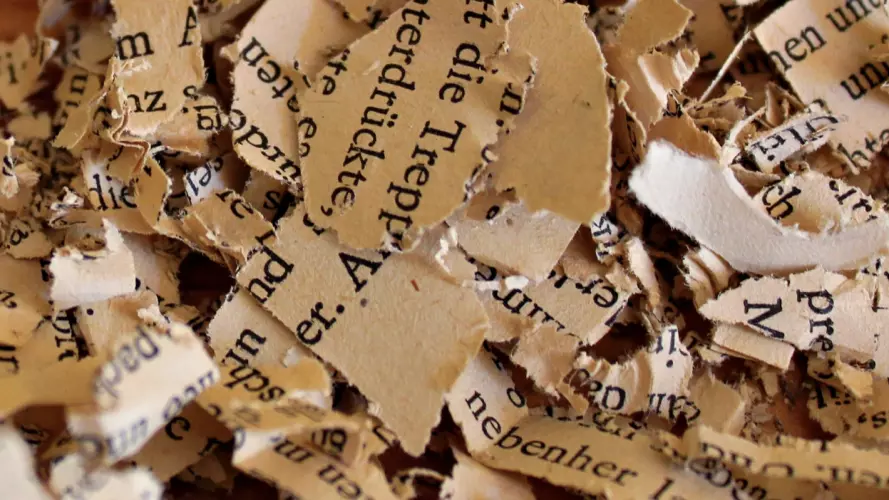 Snippets of text