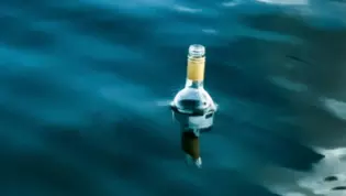 Bottle in the sea