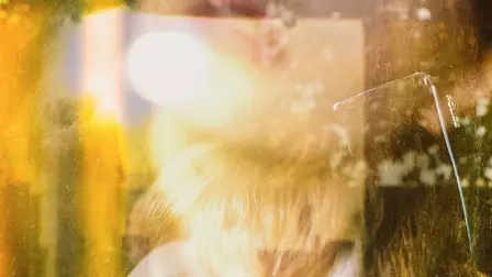 Double exposure face