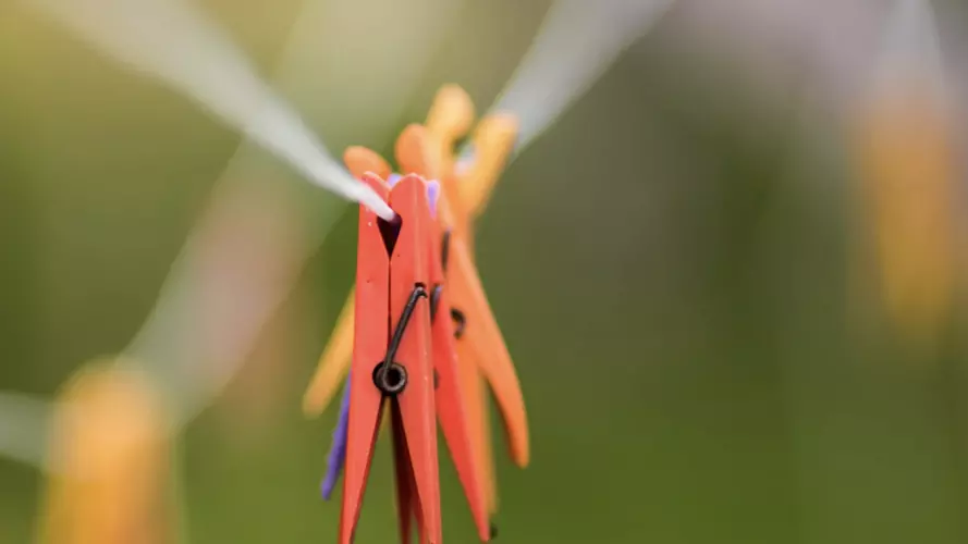 Orange clothes pegs on washing line