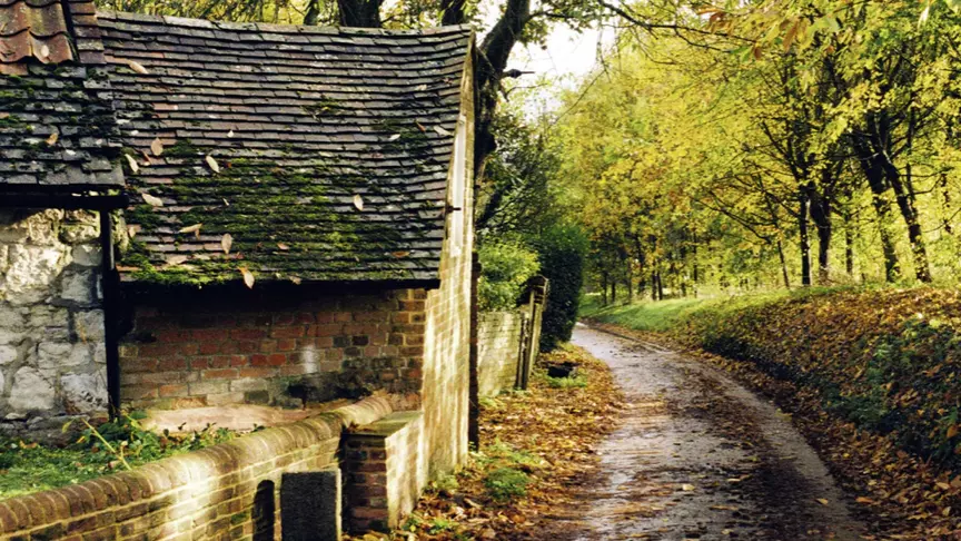 House beside empty lane