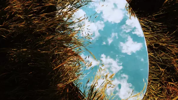 Mirror in long grass reflecting clouds in blue sky
