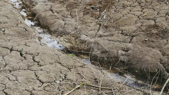 Dried stream and mud