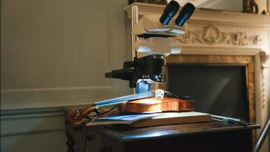 violin under the microscope