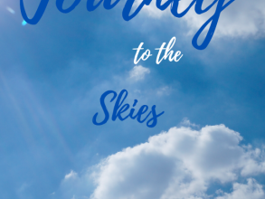 Journey to the Skies cover