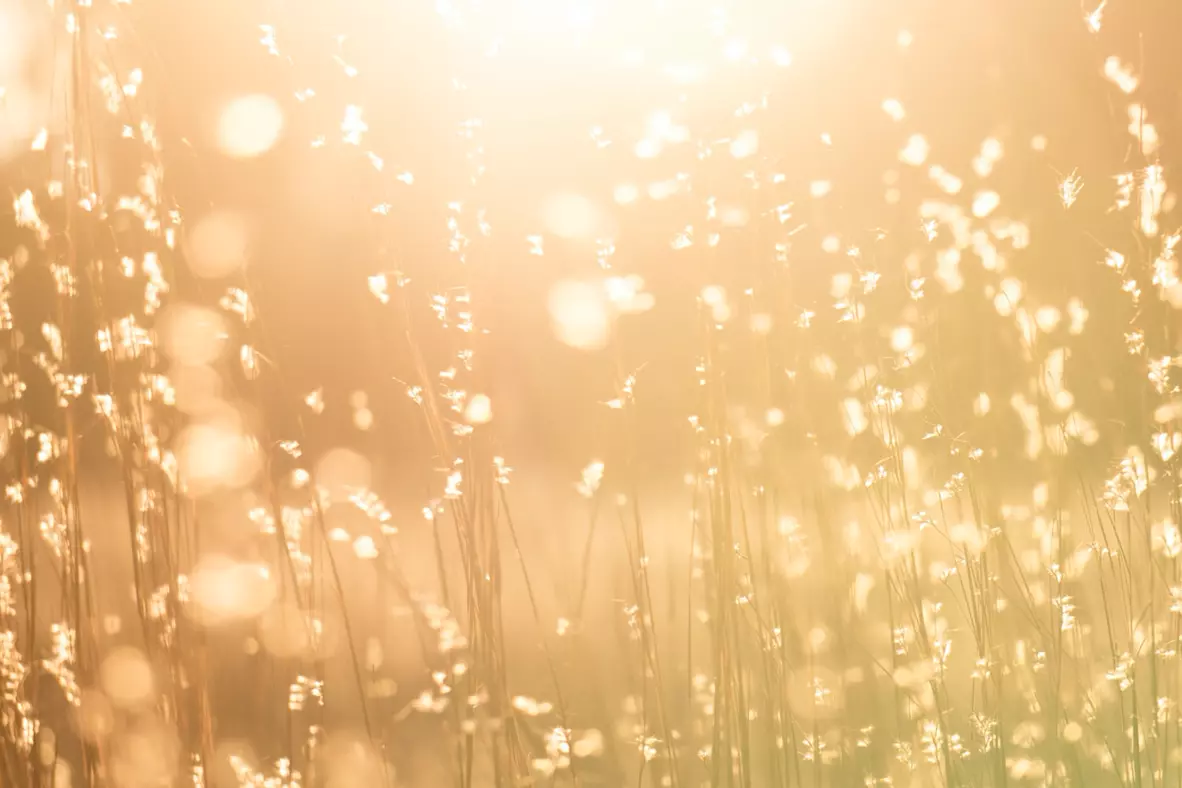 Sunlight